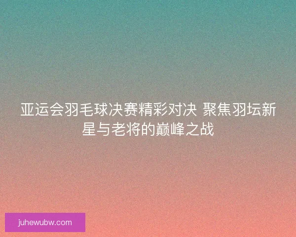亚运会羽毛球决赛精彩对决 聚焦羽坛新星与老将的巅峰之战