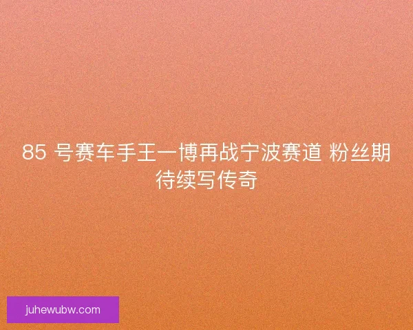 85 号赛车手王一博再战宁波赛道 粉丝期待续写传奇
